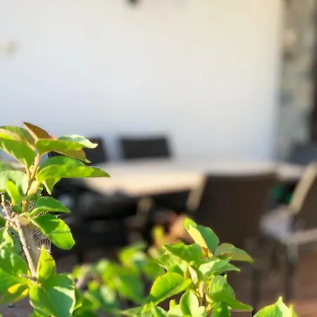 Sofia Capo Guest house 3*